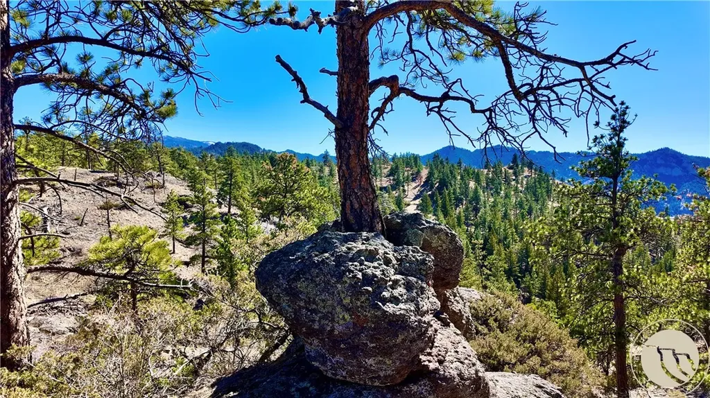 146 Pioneer Trail Lane Other MT 59421