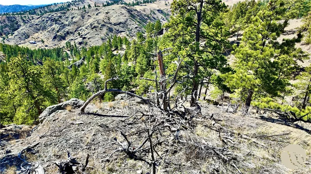 146 Pioneer Trail Lane Other MT 59421
