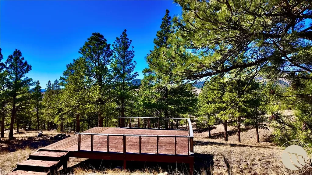 146 Pioneer Trail Lane Other MT 59421