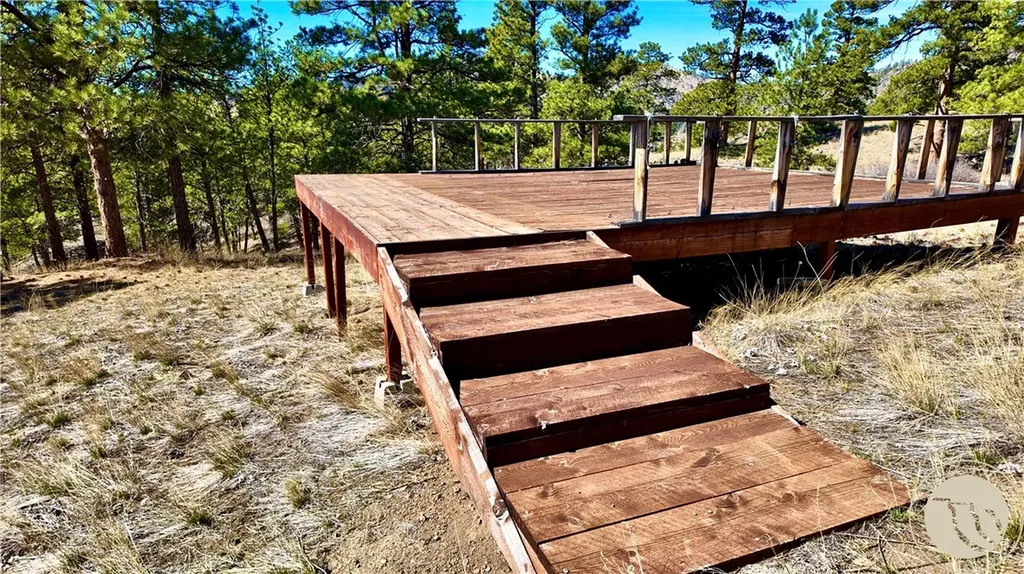 146 Pioneer Trail Lane Other MT 59421