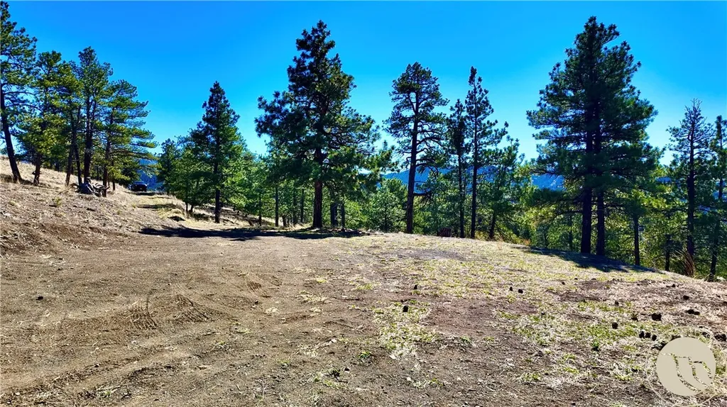 146 Pioneer Trail Lane Other MT 59421