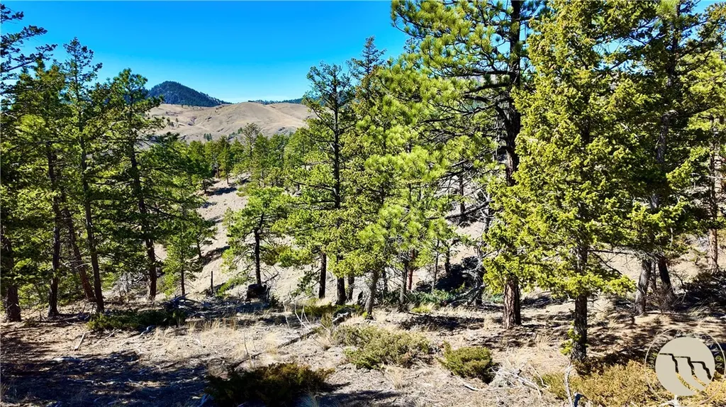 146 Pioneer Trail Lane Other MT 59421