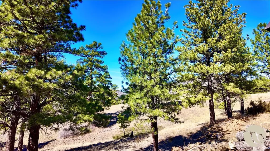 146 Pioneer Trail Lane Other MT 59421