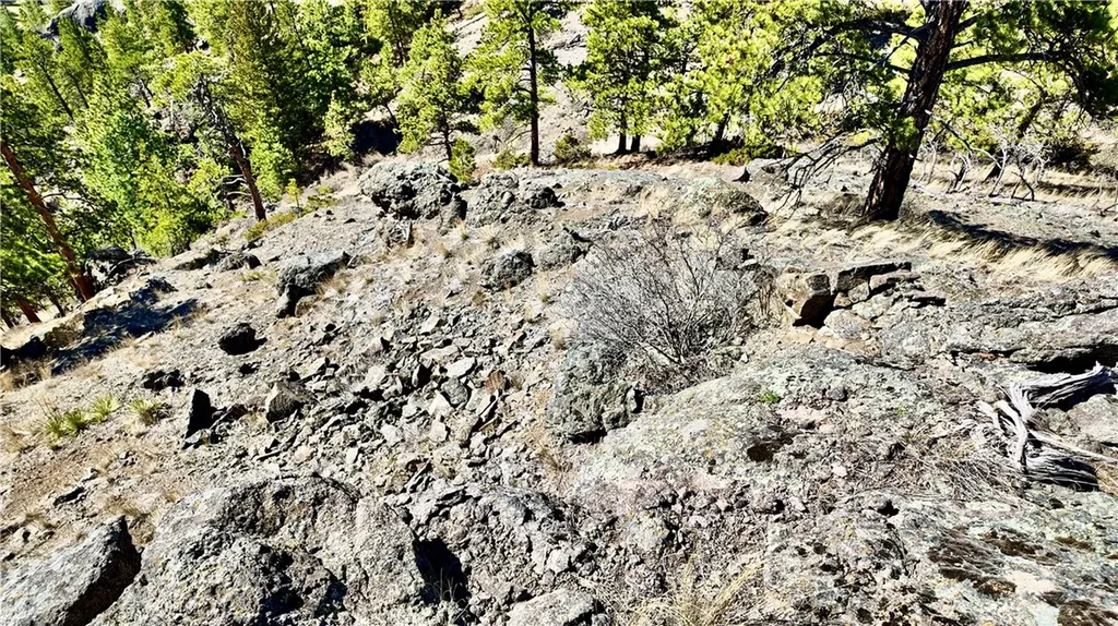 146 Pioneer Trail Lane Other MT 59421