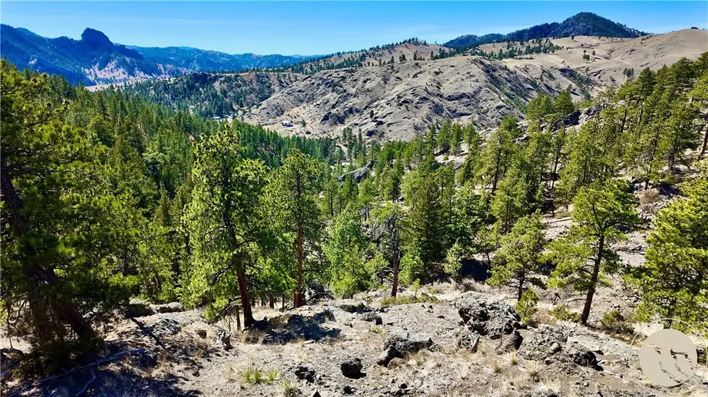 146 Pioneer Trail Lane Other MT 59421