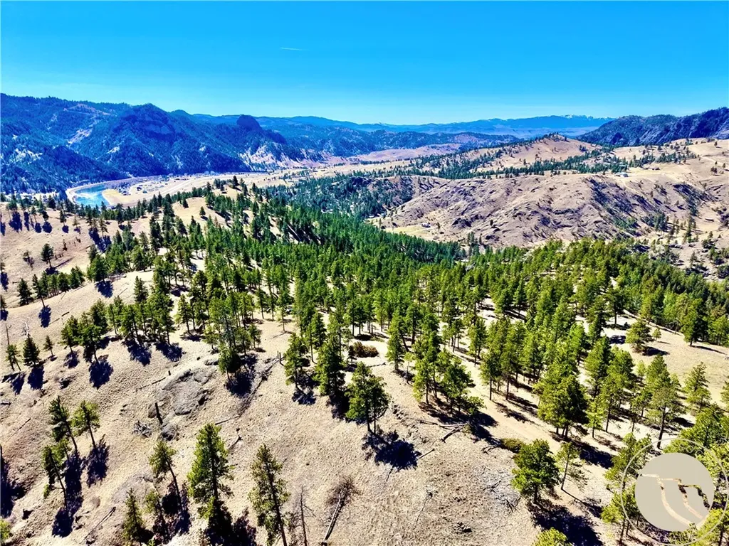 146 Pioneer Trail Lane Other MT 59421