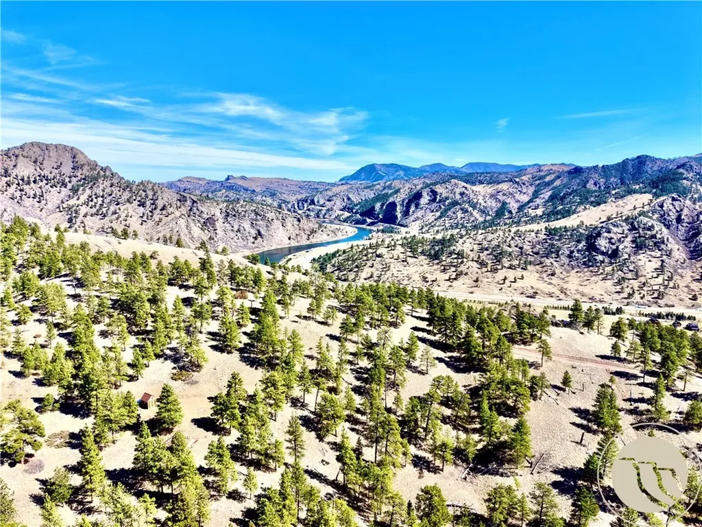 146 Pioneer Trail Lane Other MT 59421
