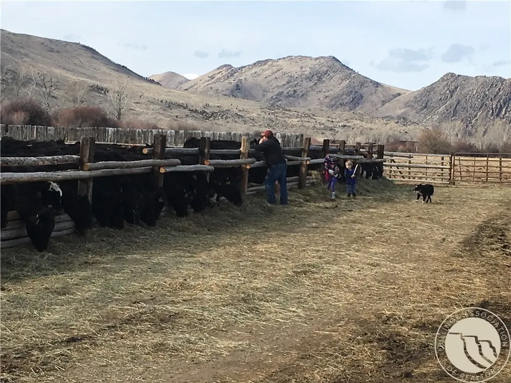 263 W Bovine Way Other MT 59743
