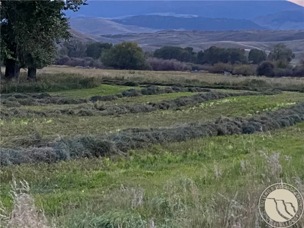 263 W Bovine Way Other MT 59743