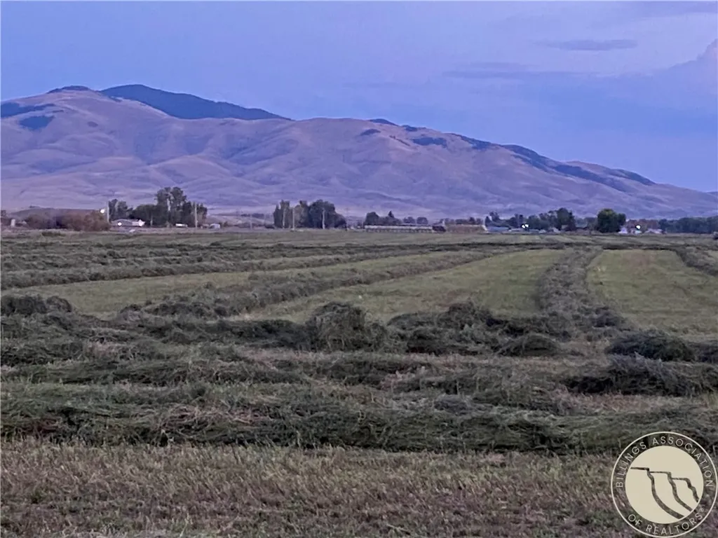 263 W Bovine Way Other MT 59743