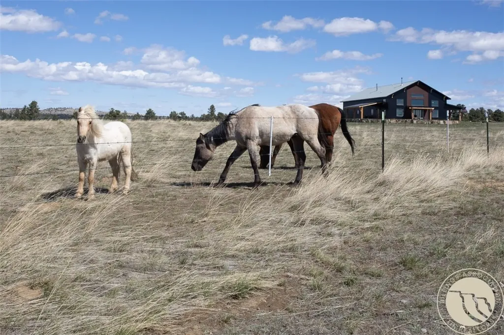 256 Valley Creek Road Park City MT 59063