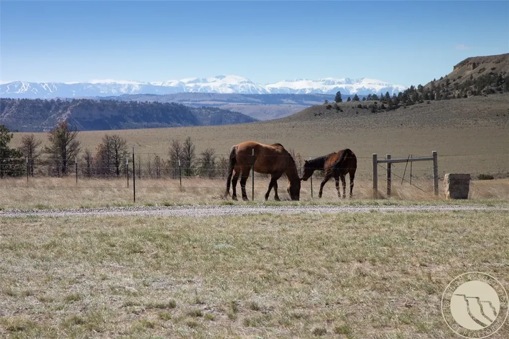 256 Valley Creek Road Park City MT 59063