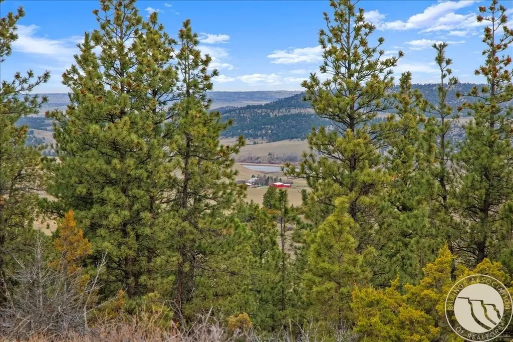 126 Night Hawk Road Reed Point MT 59069
