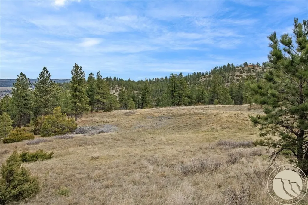 126 Night Hawk Road Reed Point MT 59069