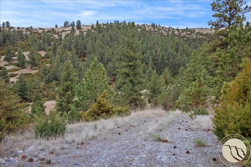 140 Night Hawk Road Reed Point MT 59069
