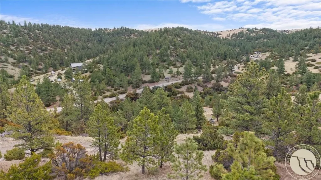 140 Night Hawk Road Reed Point MT 59069