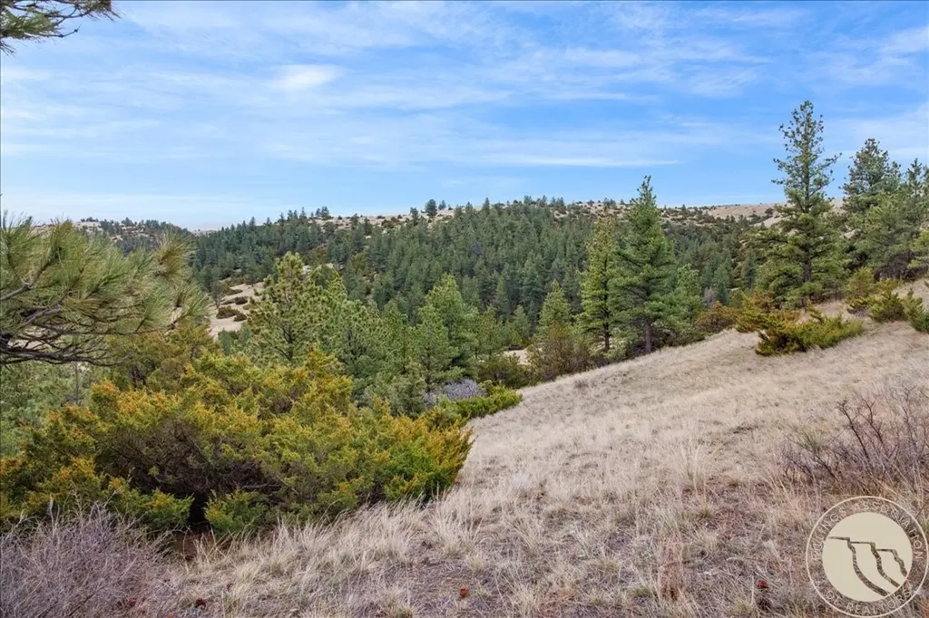 140 Night Hawk Road Reed Point MT 59069