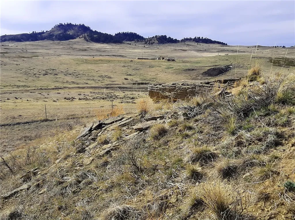 00 Davis Road Miles City MT 59301