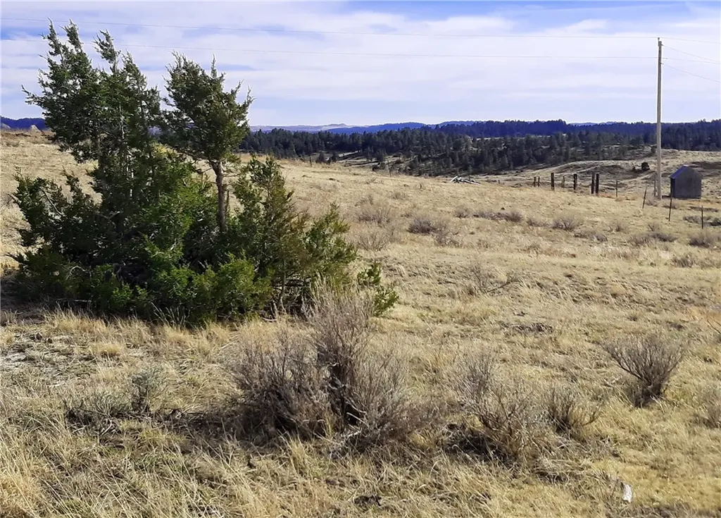 00 Davis Road Miles City MT 59301