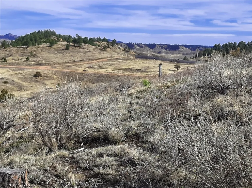 00 Davis Road Miles City MT 59301