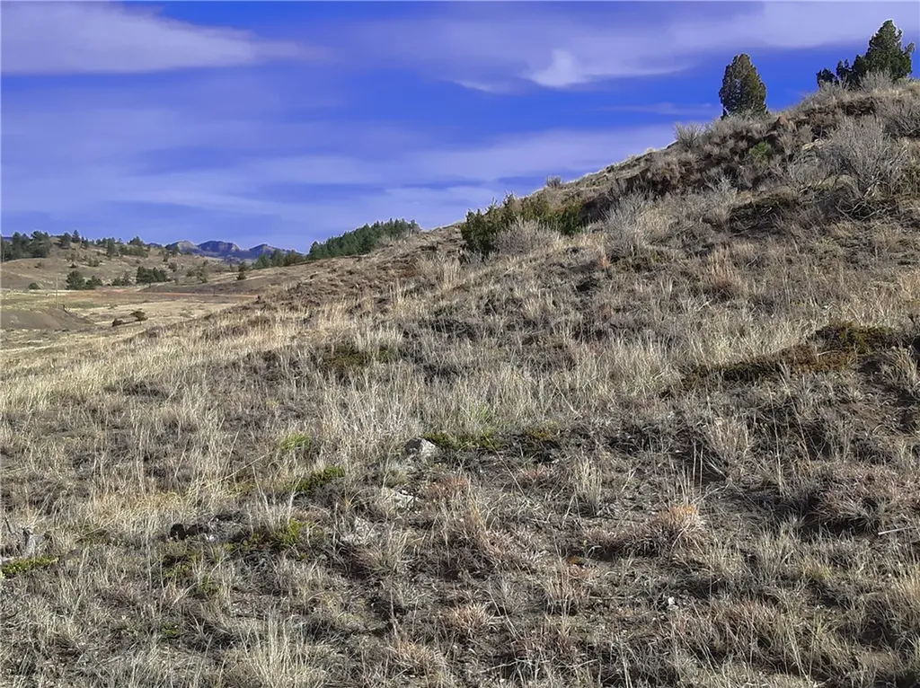 00 Davis Road Miles City MT 59301