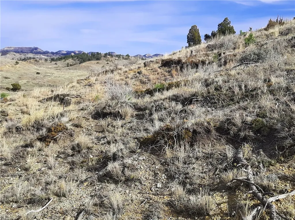 00 Davis Road Miles City MT 59301
