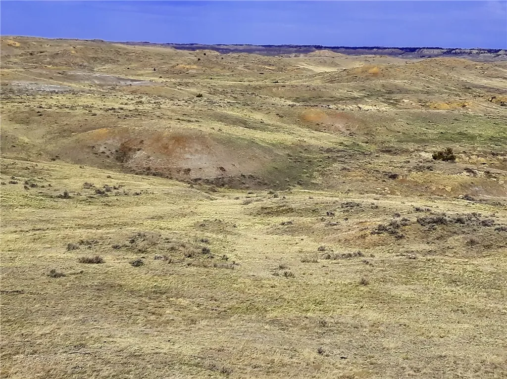 00 Davis Road Miles City MT 59301