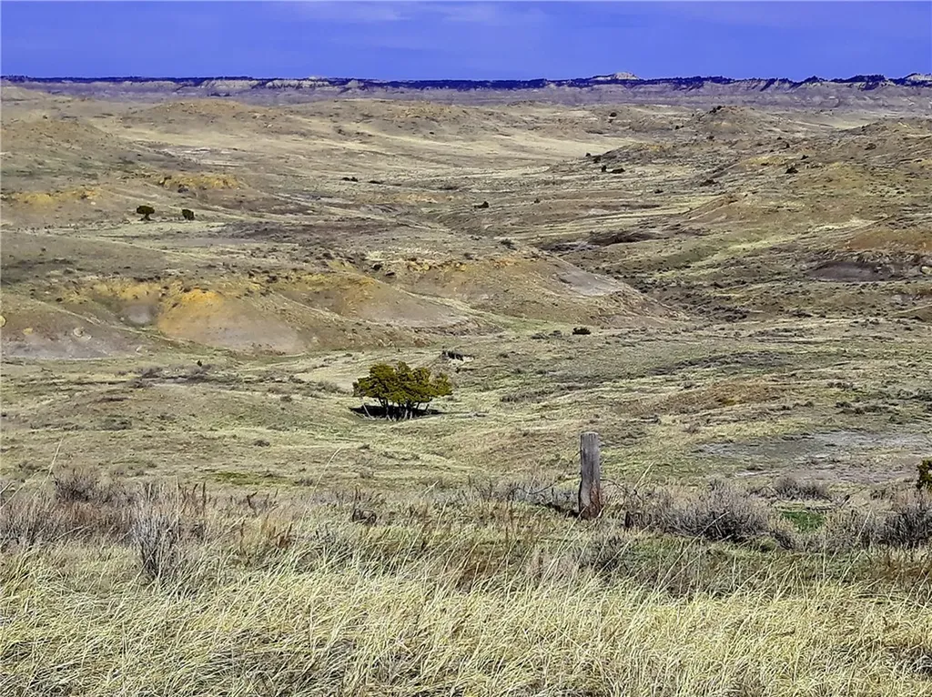 00 Davis Road Miles City MT 59301