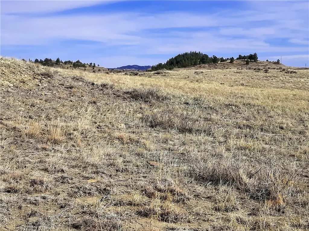 00 Davis Road Miles City MT 59301