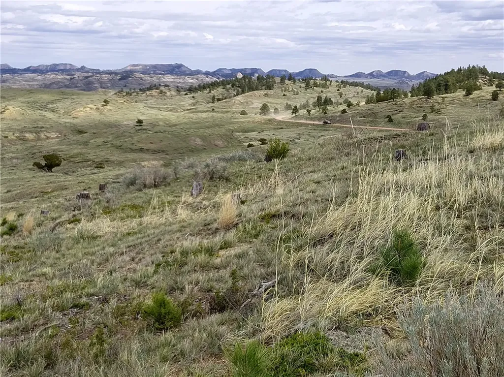 00 Davis Road Miles City MT 59301