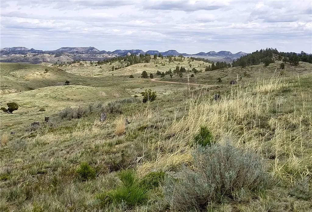 00 Davis Road Miles City MT 59301