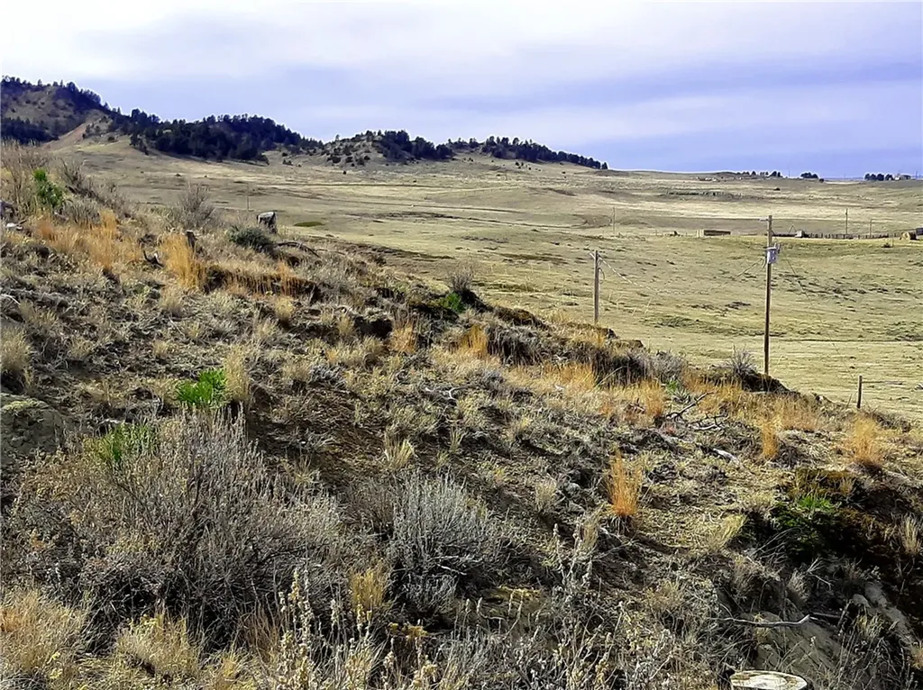00 Davis Road Miles City MT 59301