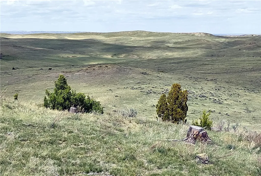 00 Davis Road Miles City MT 59301