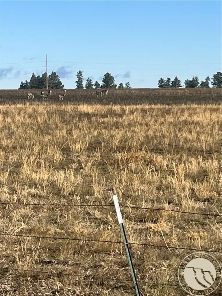 647 Majerus - Lot 1 Road Roundup MT 59072