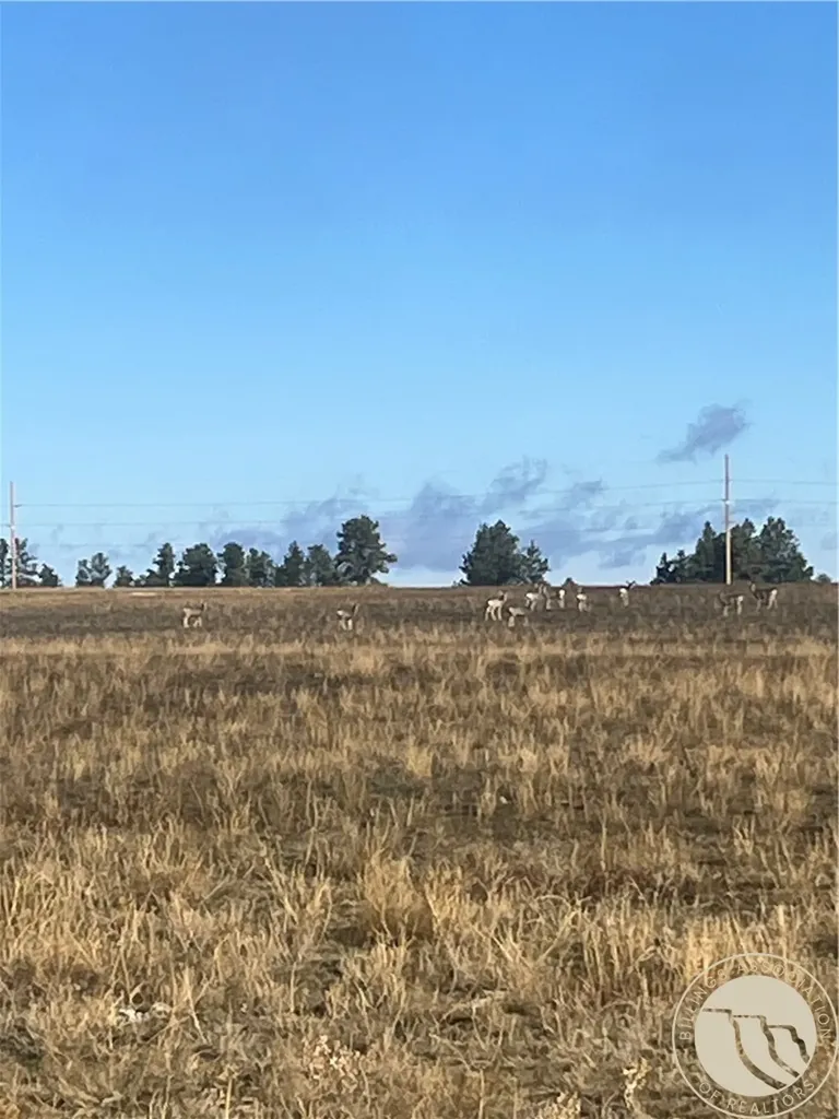 647 Majerus - Lot 1 Road Roundup MT 59072