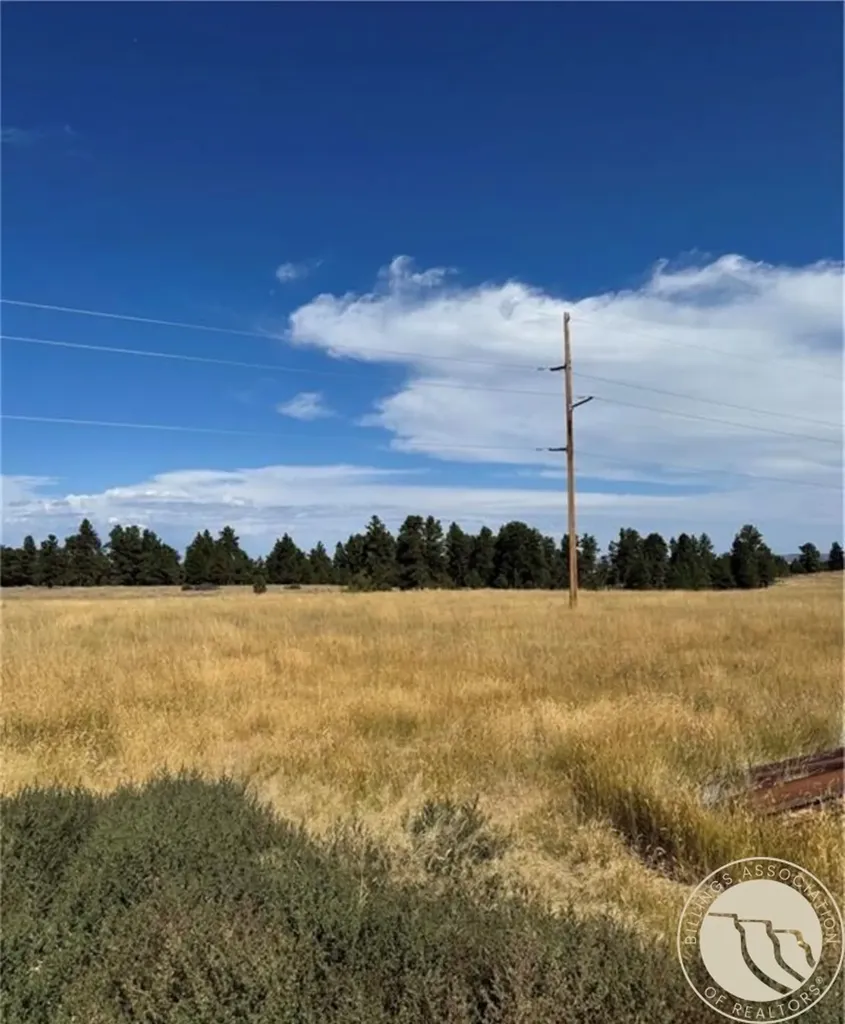 647 Majerus Road Roundup MT 59072