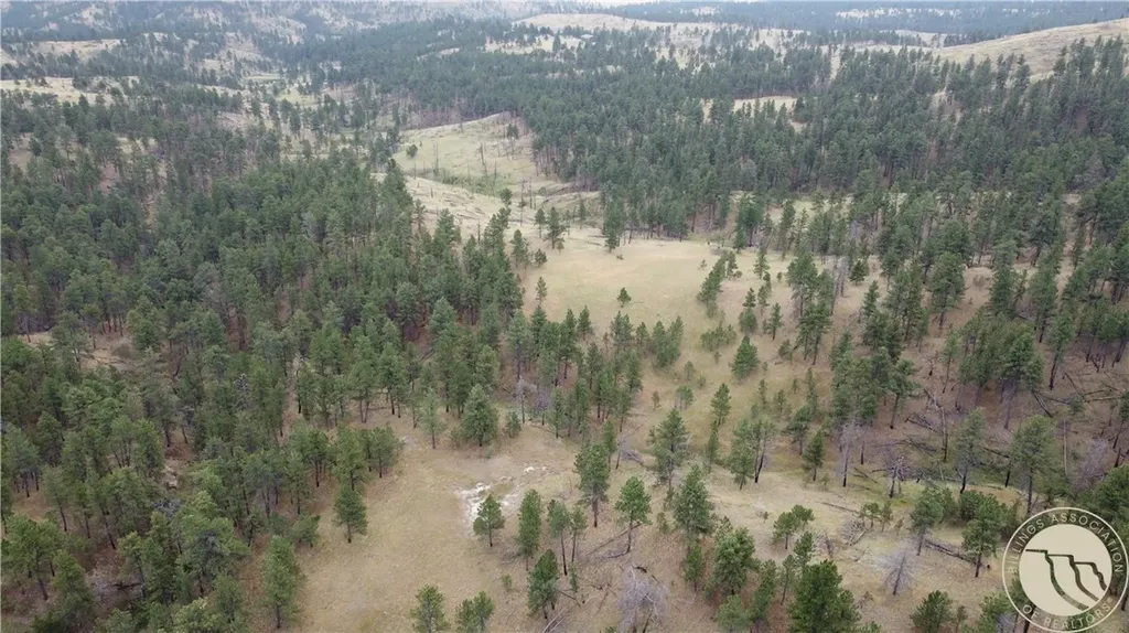 Tbd Pine Crest Road Columbus MT 59019