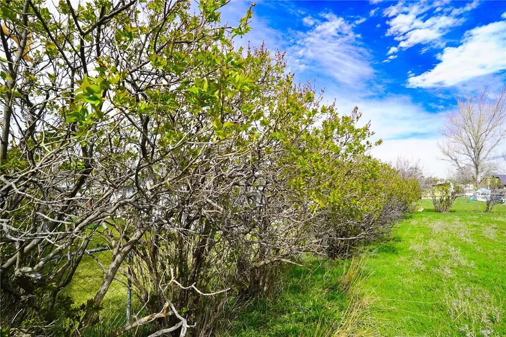 1936 Phoebe Drive Billings MT 59105