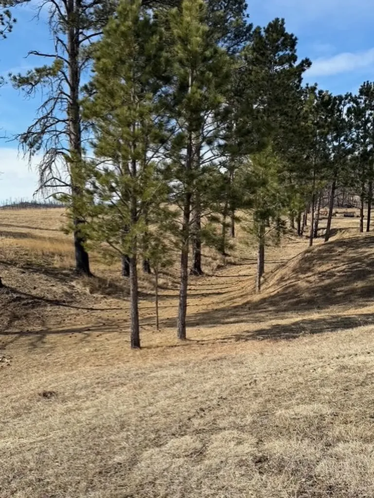 23 Mule Deer Lane Roundup MT 59072