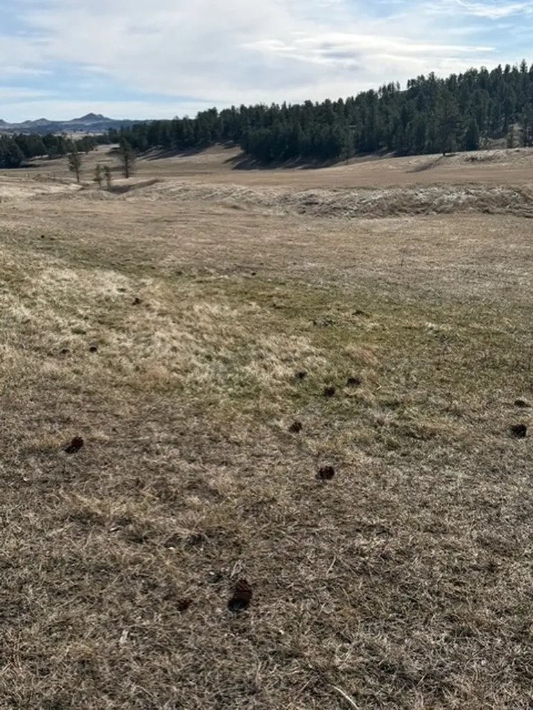23 Mule Deer Lane Roundup MT 59072