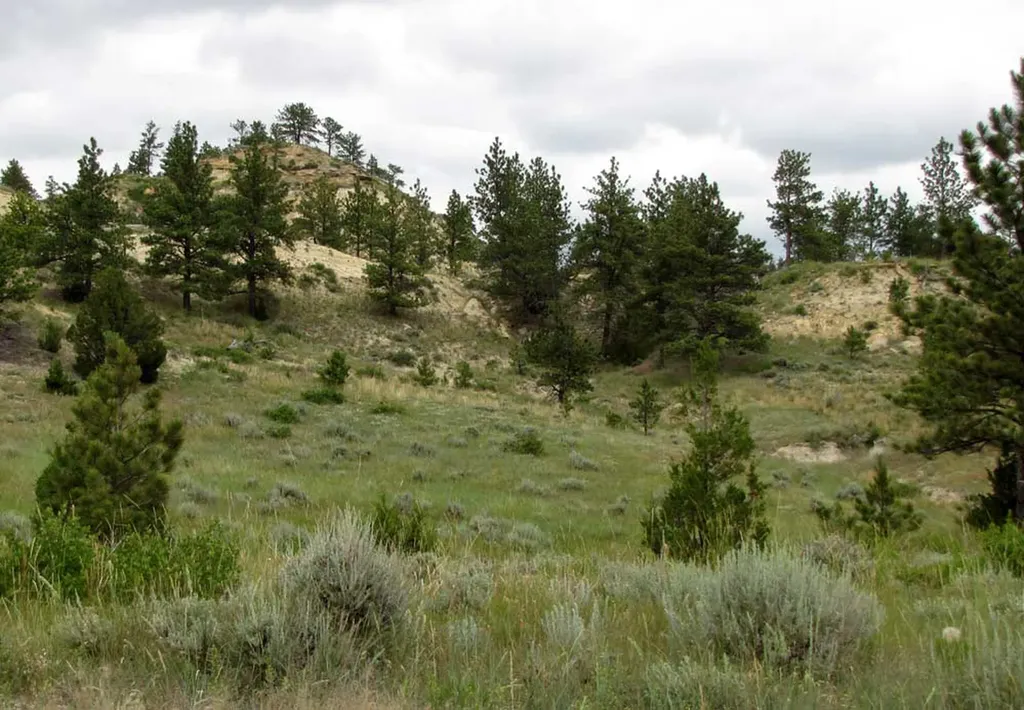 3808 Moon Creek Road Miles City MT 59301