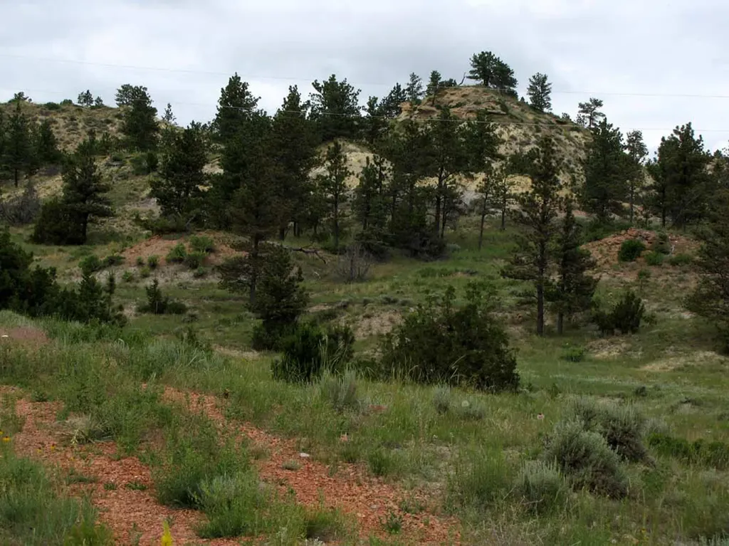 3808 Moon Creek Road Miles City MT 59301