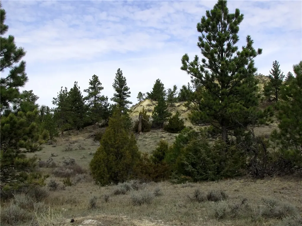 3808 Moon Creek Road Miles City MT 59301