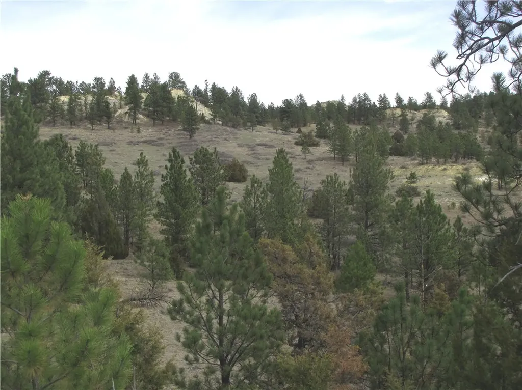 3808 Moon Creek Road Miles City MT 59301