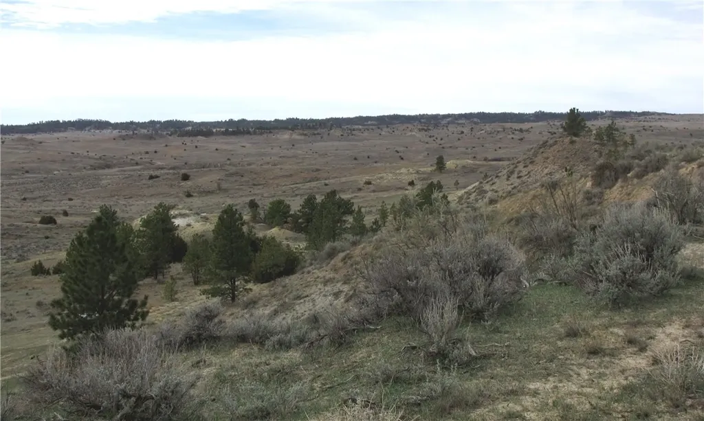 3808 Moon Creek Road Miles City MT 59301