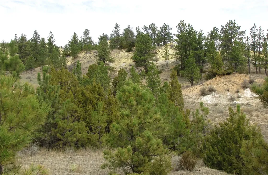 3808 Moon Creek Road Miles City MT 59301