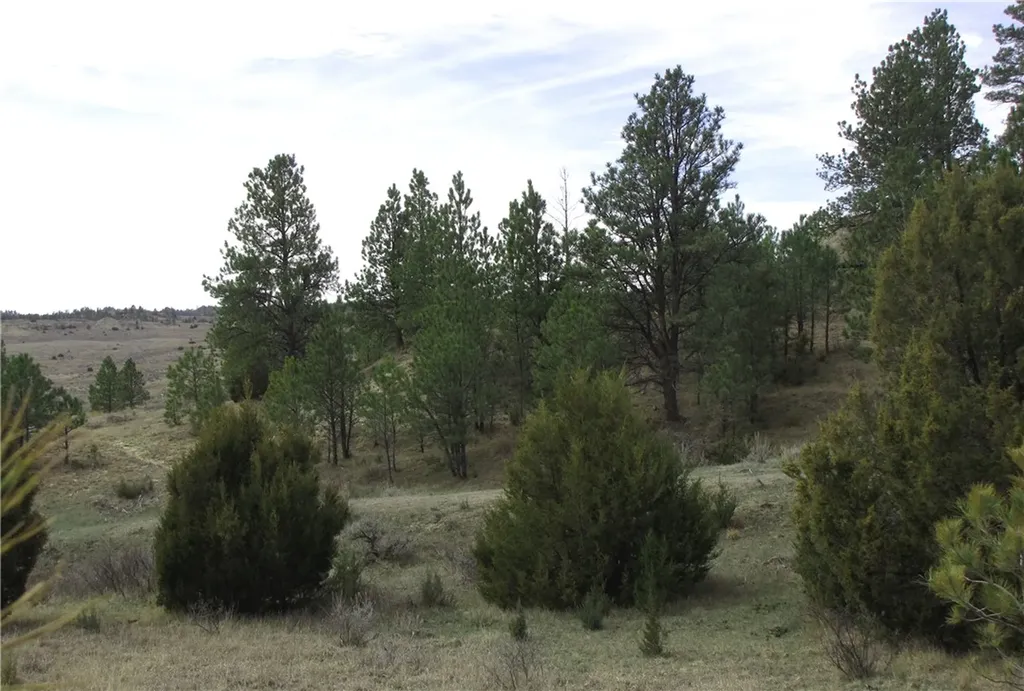 3808 Moon Creek Road Miles City MT 59301