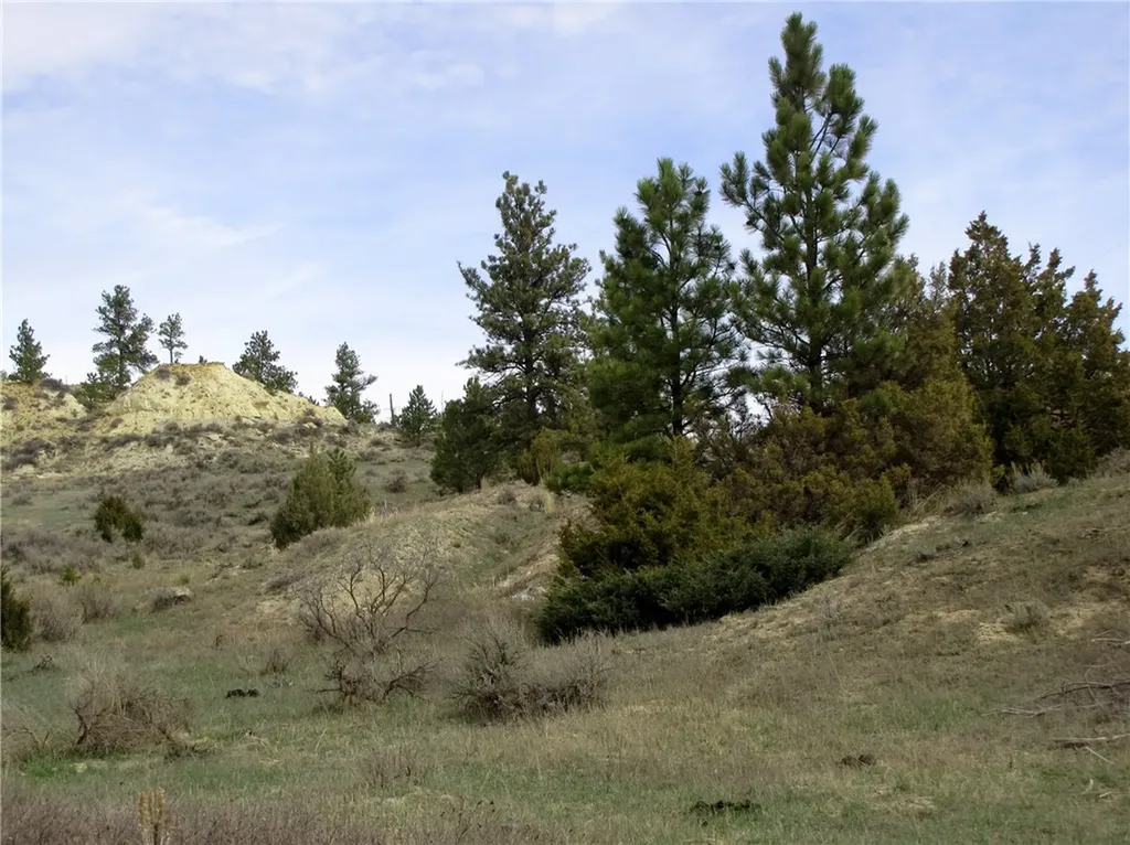 3808 Moon Creek Road Miles City MT 59301