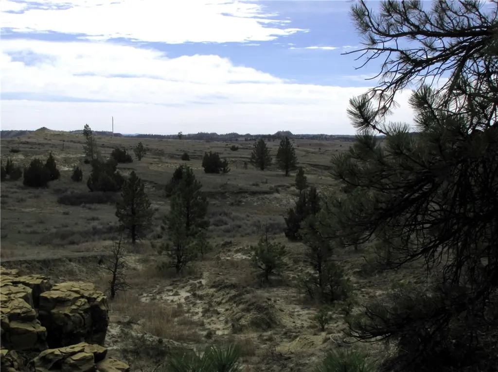 3808 Moon Creek Road Miles City MT 59301