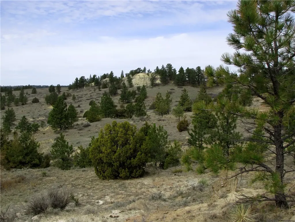 3808 Moon Creek Road Miles City MT 59301